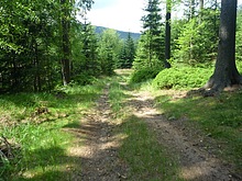 ertova hora - trat