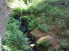 ertova hora - trat
