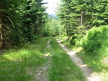 ertova hora - trat