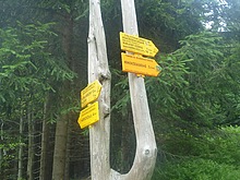 Lesn zti - Kldov cesta - Krakonoova sndan - Terex - Harrachov