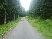 Lesn zti - Kldov cesta - Krakonoova sndan - Terex - Harrachov