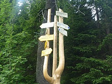 Lesn zti - Kldov cesta - Krakonoova sndan - Terex - Harrachov
