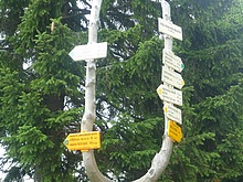 Lesn zti - Kldov cesta - Krakonoova sndan - Terex - Harrachov