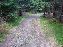 Vlet na Orle