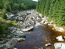 Vlet na Orle