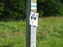 Vlet na Orle