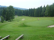Pes Jizerku na Orle
