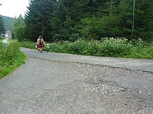 Pes Jizerku na Orle