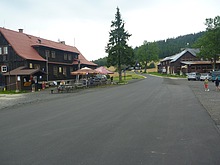 Pes Jizerku na Orle