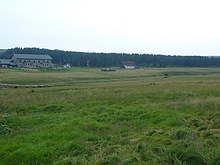 Pes Jizerku na Orle