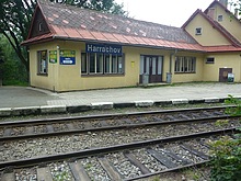 Pes Jizerku na Orle