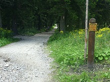 Harrachov - Dvoraky - Horn mseky