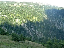 Horn mseky - Vrbatova bouda - Labsk bouda - Dvoraky - Harrachov
