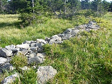 Horn mseky - Vrbatova bouda - Labsk bouda - Dvoraky - Harrachov