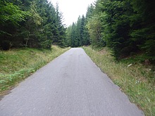 SINGLE TRACK