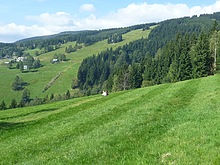 Harrachov - Skcelka - Rokytnice - Studenov - Harrachov