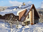 Apartmn Simona + Nordic Walking - Harrachov