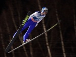 Lety Harrachov - Ski Springen-Plattformen (foto 2)