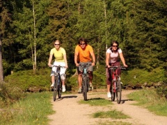 Mountain-Bikes in Harrachov Harrachov