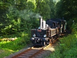 Parn lokomotiva mezi Koenovem a Harrachovem - Zahnradbahn (foto 3)