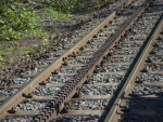 Ozubnicov drha - Zahnradbahn (foto 19)