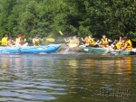 koln vlety na Jizee - Rafting und Wasseraktivitten in Harrachov (foto 2)
