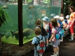Dvr Krlov - ZOO & Safari (foto 1)
