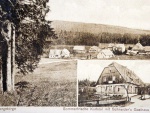 Orle - Orle (foto 2)
